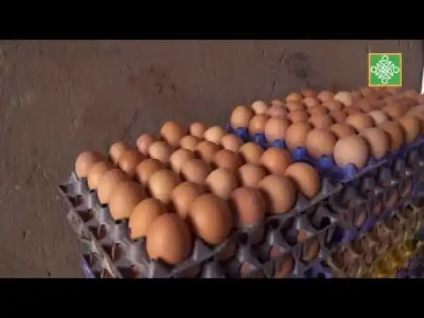 Video: Gari Ya Waye Kashi Na 818